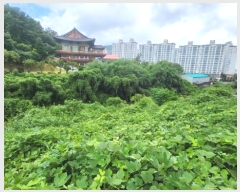  2024Ÿ27891 泲  ֵ 1201-44       (Ӿ)