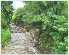  2024Ÿ27891 泲  ֵ 1201-44       (Ӿ)