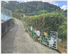  2024Ÿ��28795 �泲 ������ ������� 579-10       ����(�Ӿ�)���