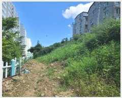  2024Ÿ��28887  �Ӿ߰��