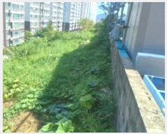  2024Ÿ��28887  �Ӿ߰��