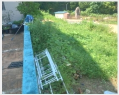  2024Ÿ��28887  �Ӿ߰��