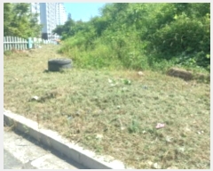  2024Ÿ��28887  �Ӿ߰��