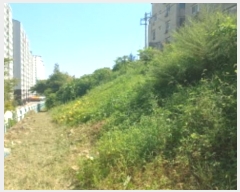  2024Ÿ��28887  �Ӿ߰��