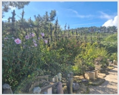  2024Ÿ��29040 �泲 ������ ���θ� ��õ�� 411-1      �ٸ��ü�,�󰡰��