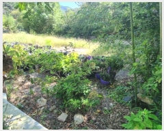  2024Ÿ��29040 �泲 ������ ���θ� ��õ�� 411-1      �ٸ��ü�,�󰡰��