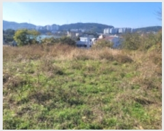  2024Ÿ29774 泲 뿵 볲 ޸ 133-1      ()