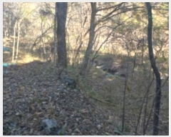  2024Ÿ30019 泲  ʸ 丮 1011-1      (Ӿ)