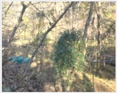  2024Ÿ30019 泲  ʸ 丮 1011-1      (Ӿ)