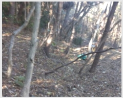  2024Ÿ30019 泲  ʸ 丮 1011-1      (Ӿ)