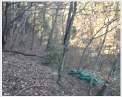  2024Ÿ30019 泲  ʸ 丮 1011-1      (Ӿ)