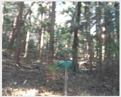  2024Ÿ30019 泲  ʸ 丮 1011-1      (Ӿ)