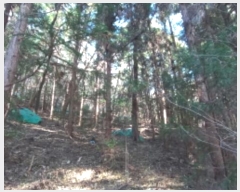  2024Ÿ30019 泲  ʸ 丮 1011-1      (Ӿ)