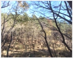  2024Ÿ30019 泲  ʸ 丮 1011-1      (Ӿ)