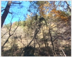  2024Ÿ30019 泲  ʸ 丮 1011-1      (Ӿ)