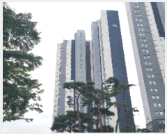  2024Ÿ30392 泲  3 15, 104 1101ȣ (󵿵,Ʈ)    Ʈ