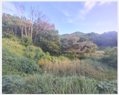  2024Ÿ��30477 �泲 ������ ���θ� ������ 295-1      ����(��)���