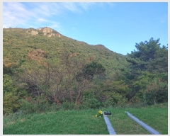  2024Ÿ��30477 �泲 ������ ���θ� ������ 295-1      ����(��)���