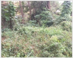  2024Ÿ��30477 �泲 ������ ���θ� ������ 295-1      ����(��)���