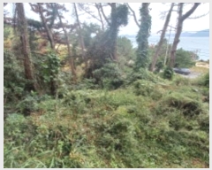  2024Ÿ��30477 �泲 ������ ���θ� ������ 295-1      ����(��)���