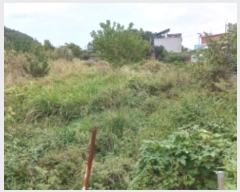  2024Ÿ��30477 �泲 ������ ���θ� ������ 295-1      ����(��)���