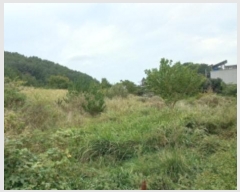  2024Ÿ��30477 �泲 ������ ���θ� ������ 295-1      ����(��)���