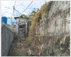  2024Ÿ31531 泲 뿵 õ 117-8       ð