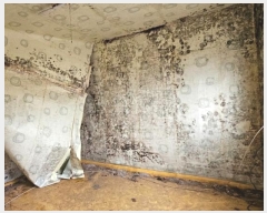  2024Ÿ31531 泲 뿵 õ 117-8       ð