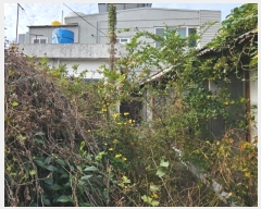  2024Ÿ31531 泲 뿵 õ 117-8       ð