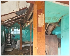  2024Ÿ31531 泲 뿵 õ 117-8       ð