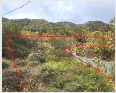  2024Ÿ31630 泲  д ø 1004-1      ()