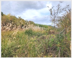  2024Ÿ31630 泲  д ø 1004-1      ()