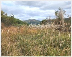  2024Ÿ31630 泲  д ø 1004-1      ()