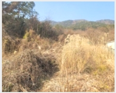  2024Ÿ31630 泲  д ø 1004-1      ()