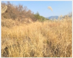  2024Ÿ31630 泲  д ø 1004-1      ()