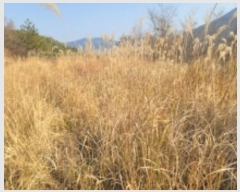  2024Ÿ31630 泲  д ø 1004-1      ()