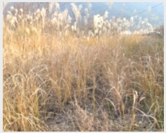  2024Ÿ31630 泲  д ø 1004-1      ()