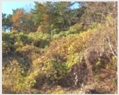  2024Ÿ��31791  ���������