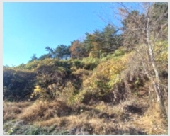  2024Ÿ��31791  ���������