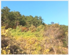  2024Ÿ��31791  ���������