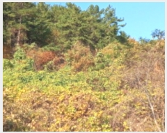  2024Ÿ��31791  ���������