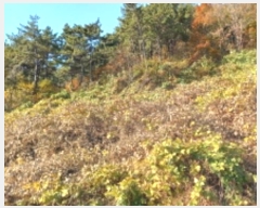  2024Ÿ��31791  ���������