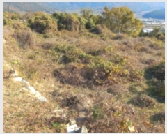  2024Ÿ��31791  ���������