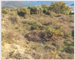  2024Ÿ��31791  ���������