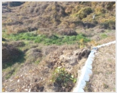  2024Ÿ��31791  ���������