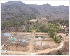  2024Ÿ��32961 �泲 ������ ������ ������ ��3-7      ����(��1)���