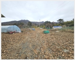  2024Ÿ��32961 �泲 ������ ������ ������ ��3-7      ����(��1)���