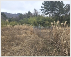  2024Ÿ��32961 �泲 ������ ������ ������ ��3-7      ����(��1)���