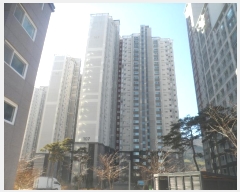  2024Ÿ33223 泲  Ͽ 1 27, 107 121202ȣ (ھƷũ帲)   Ʈ