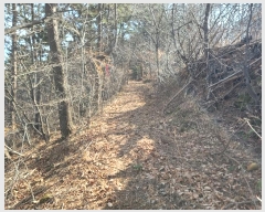  2024Ÿ��797 �泲 �뿵�� ������ �쵿�� 8-6      ����(��1)���